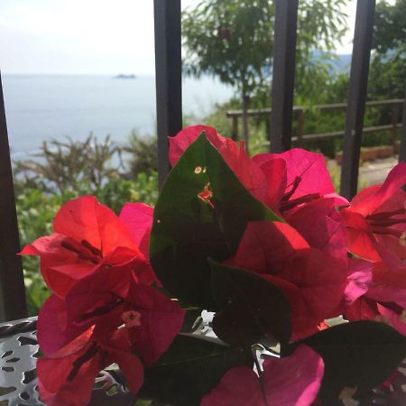Willa Casa Rosetta Praiano Zewnętrze zdjęcie