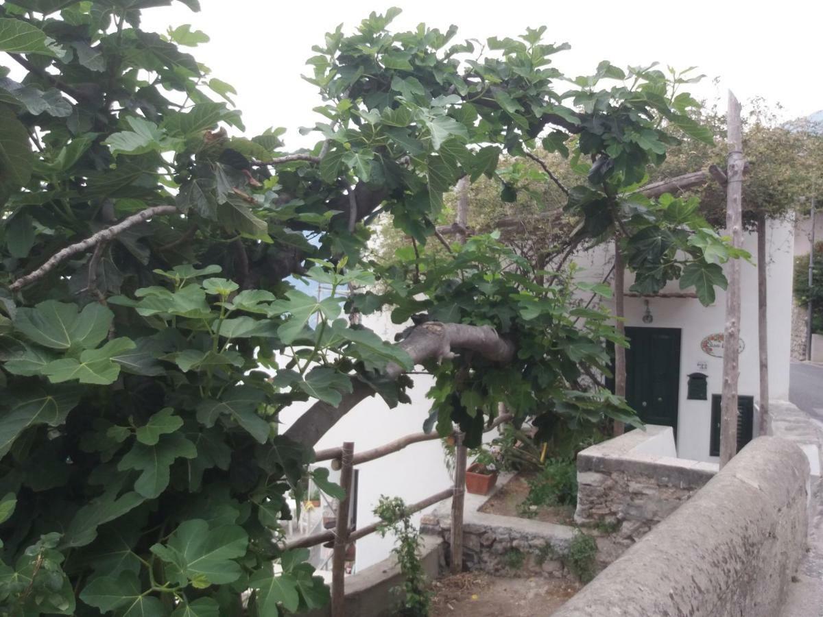 Willa Casa Rosetta Praiano Zewnętrze zdjęcie
